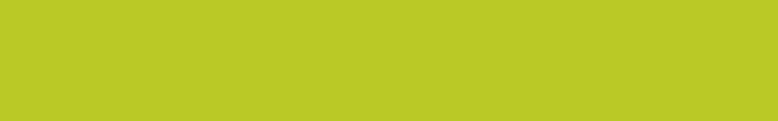 Banner Beneshop_DE.png