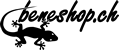 Direct Handling Logo